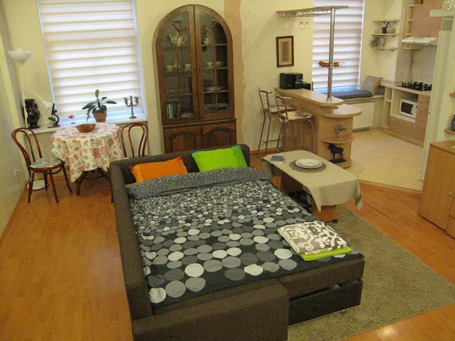 Private Entrance-2 Rooms-Old Town- Free Parking Wilno Zewnętrze zdjęcie